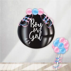 Gender Reveal Balloon Pop filled with either pink or blue confetti. It comes with a pop stick to reveal the gender!