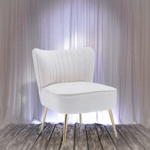 Ivory Velvet Chair